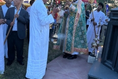 2025 - Feast of Assumption