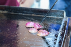 PhotosByJerry-3